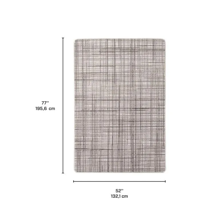 Indoor or Outdoor Rug - 4 x 6