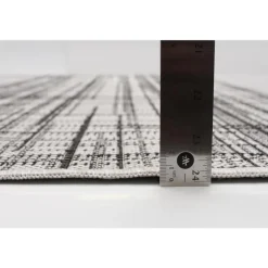 Indoor or Outdoor Rug - 4 x 6