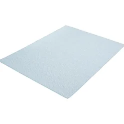 Indoor or Outdoor Rug - 7 x 10