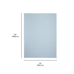 Indoor or Outdoor Rug - 7 x 10