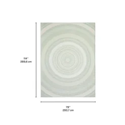 Indoor or Outdoor Rug - 7 x 10