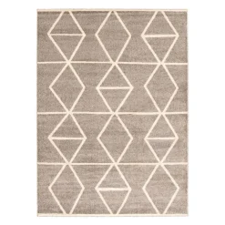 Indoor Rug - 4 x 6