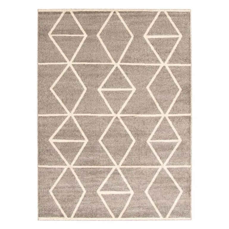 Indoor Rug - 4 x 6