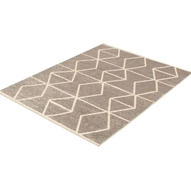 Indoor Rug - 4 x 6