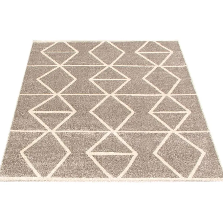 Indoor Rug - 4 x 6