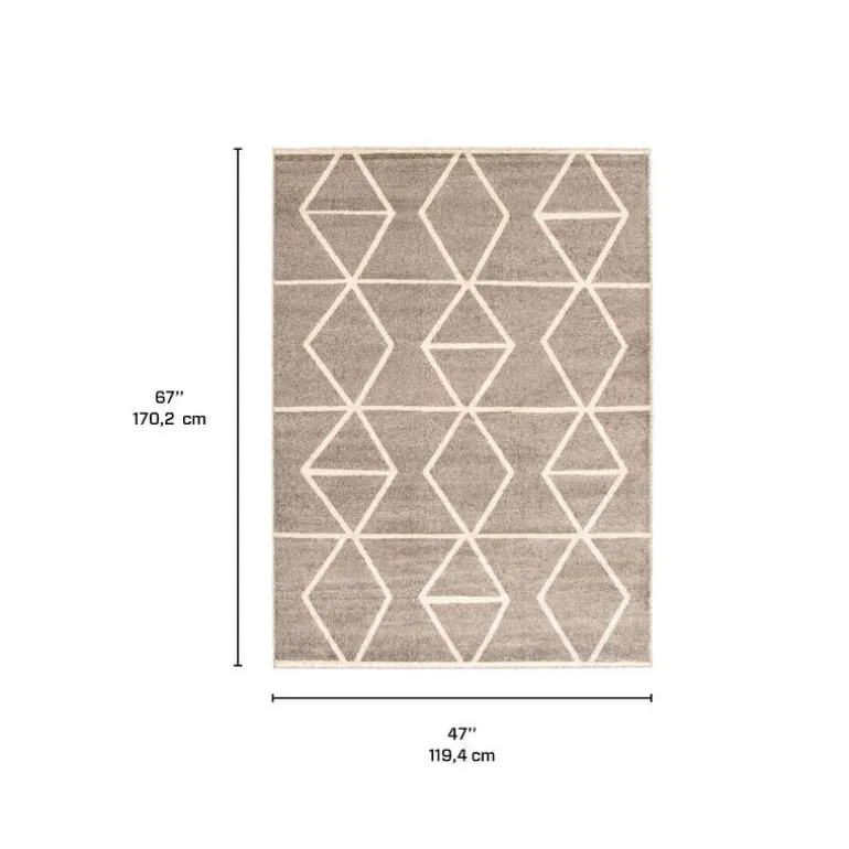 Indoor Rug - 4 x 6