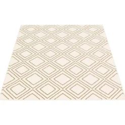 Indoor Rug - 8 x 10