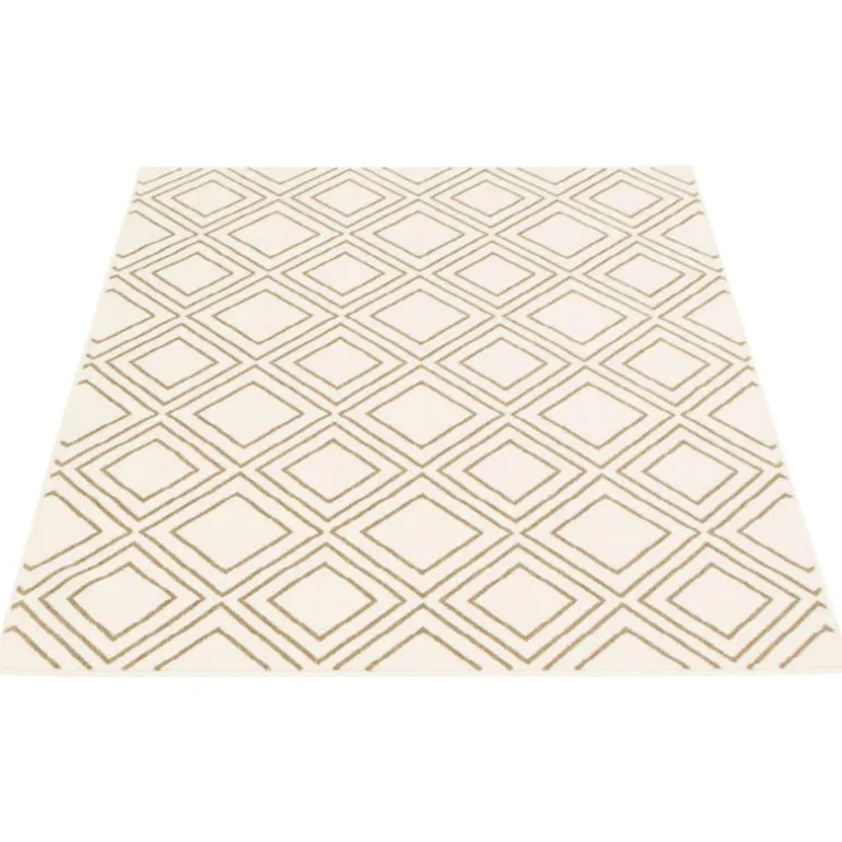 Indoor Rug - 8 x 10