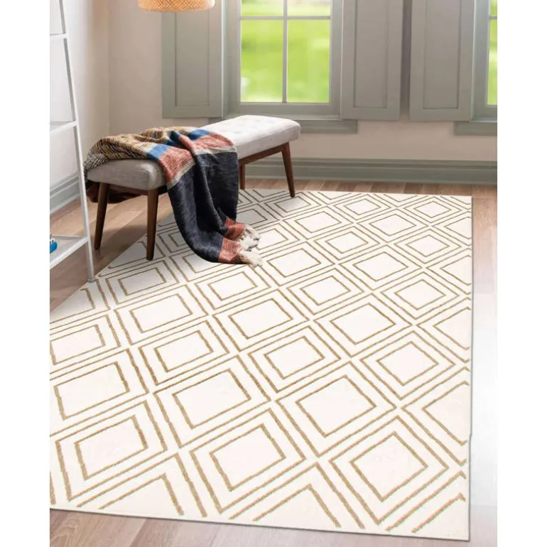 Indoor Rug - 8 x 10