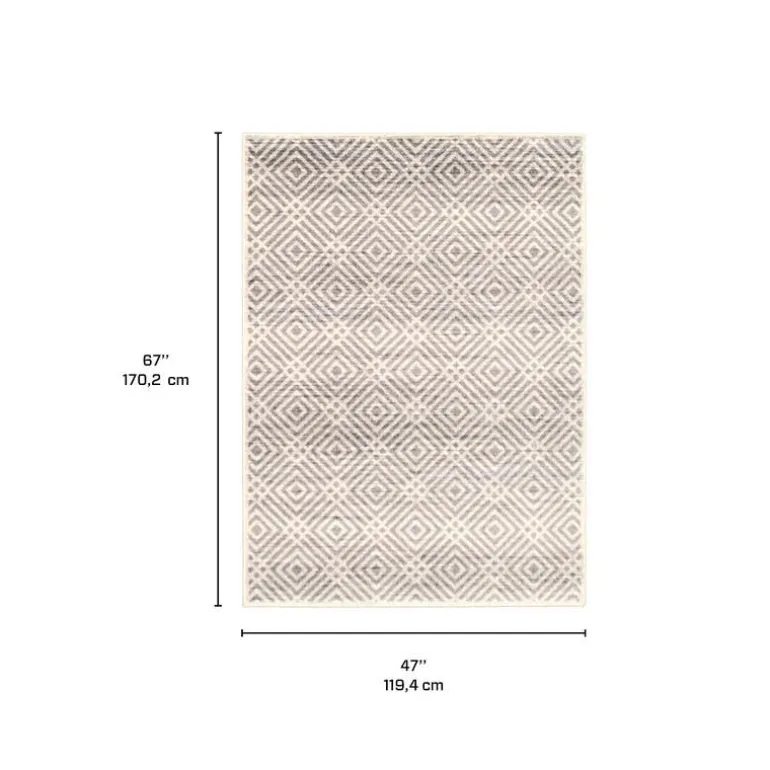 Indoor Rug - 4 x 6