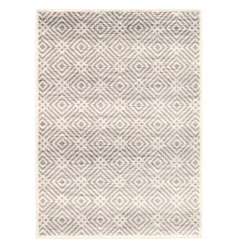 Indoor Rug - 4 x 6