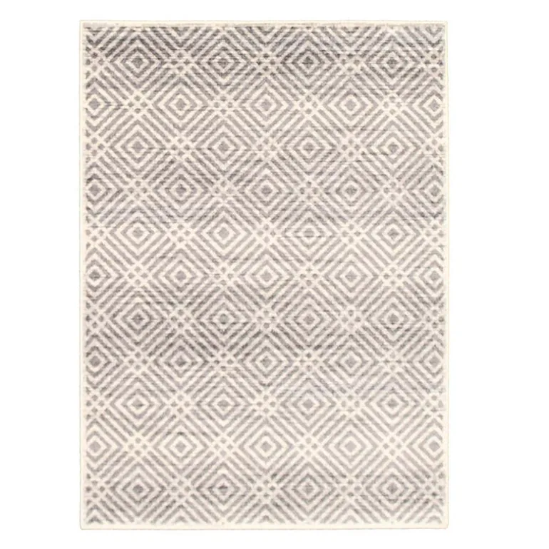 Indoor Rug - 4 x 6