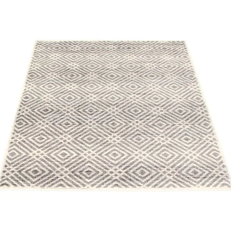 Indoor Rug - 4 x 6