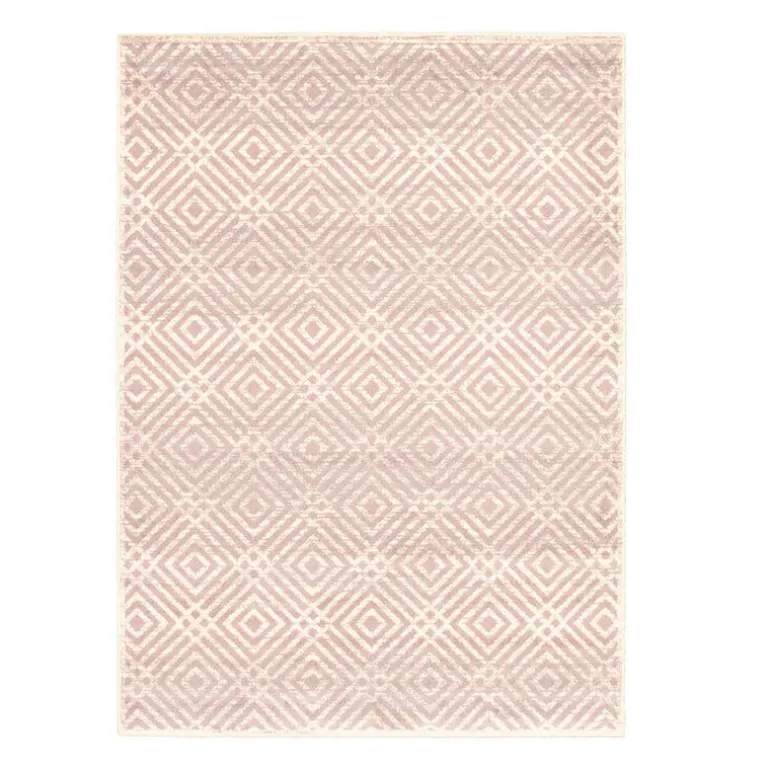 Indoor Rug - 4 x 6