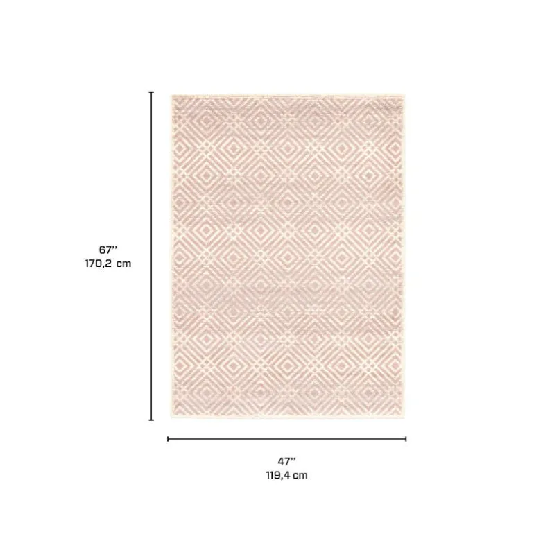 Indoor Rug - 4 x 6