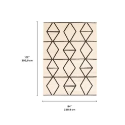 Indoor Rug - 8 x 10