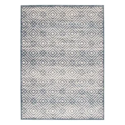 Indoor Rug - 4 x 6
