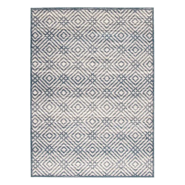 Indoor Rug - 4 x 6
