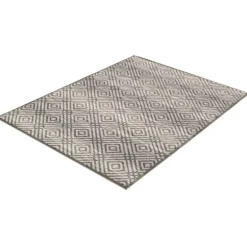 Indoor Rug - 4 x 6
