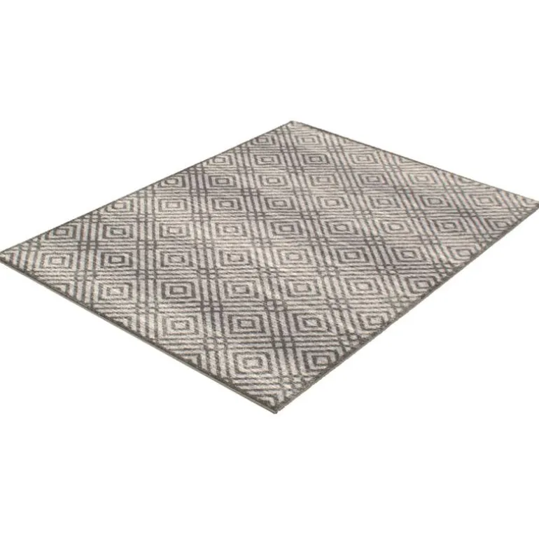 Indoor Rug - 4 x 6