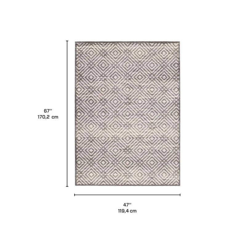 Indoor Rug - 4 x 6
