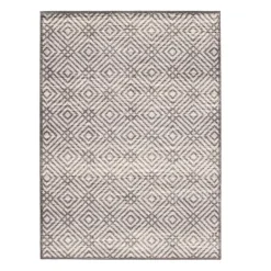 Indoor Rug - 4 x 6