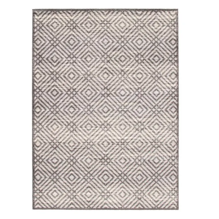 Indoor Rug - 4 x 6