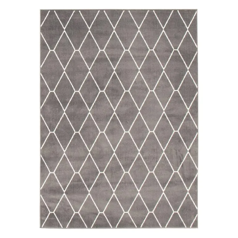 Indoor Rug - 5 x 7