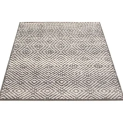 Indoor Rug - 5 x 7