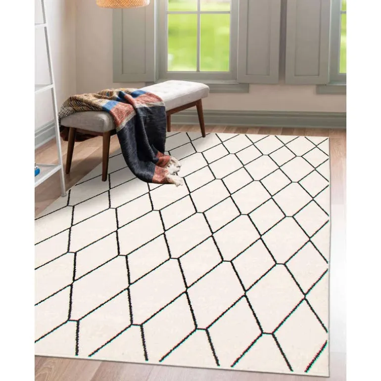 Indoor Rug - 7 x 10