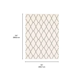 Indoor Rug - 7 x 10