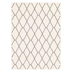 Indoor Rug - 7 x 10