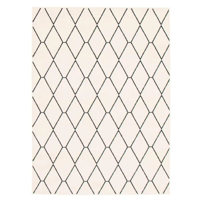 Indoor Rug - 7 x 10
