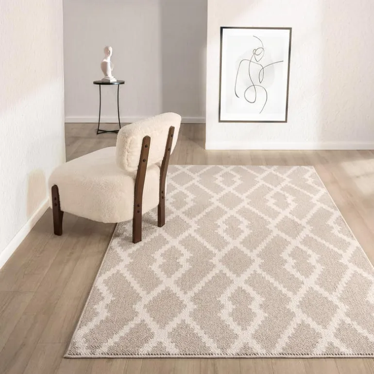 Indoor Rug - 8 x 11