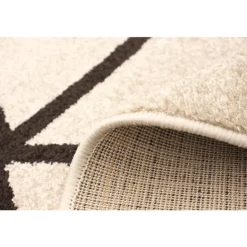 Indoor Rug - 4 x 6