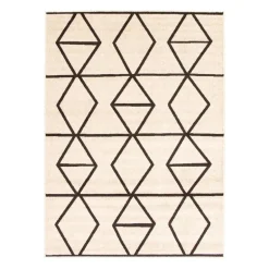 Indoor Rug - 4 x 6