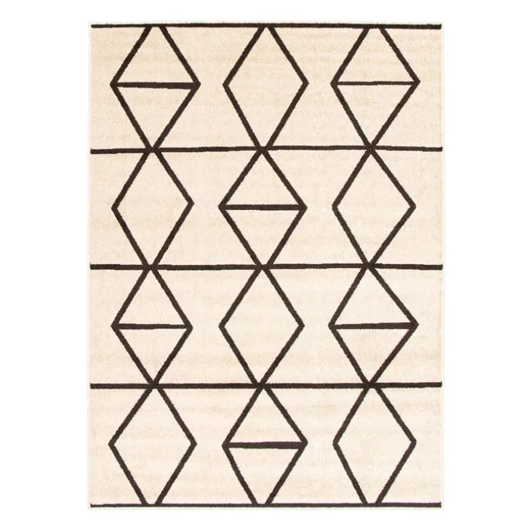 Indoor Rug - 4 x 6