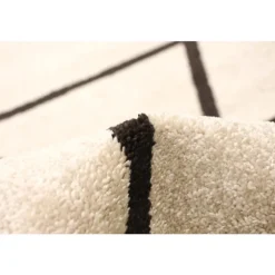 Indoor Rug - 4 x 6