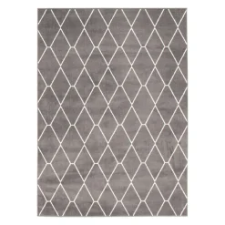 Indoor Rug - 8 x 10