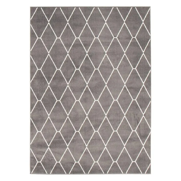 Indoor Rug - 8 x 10