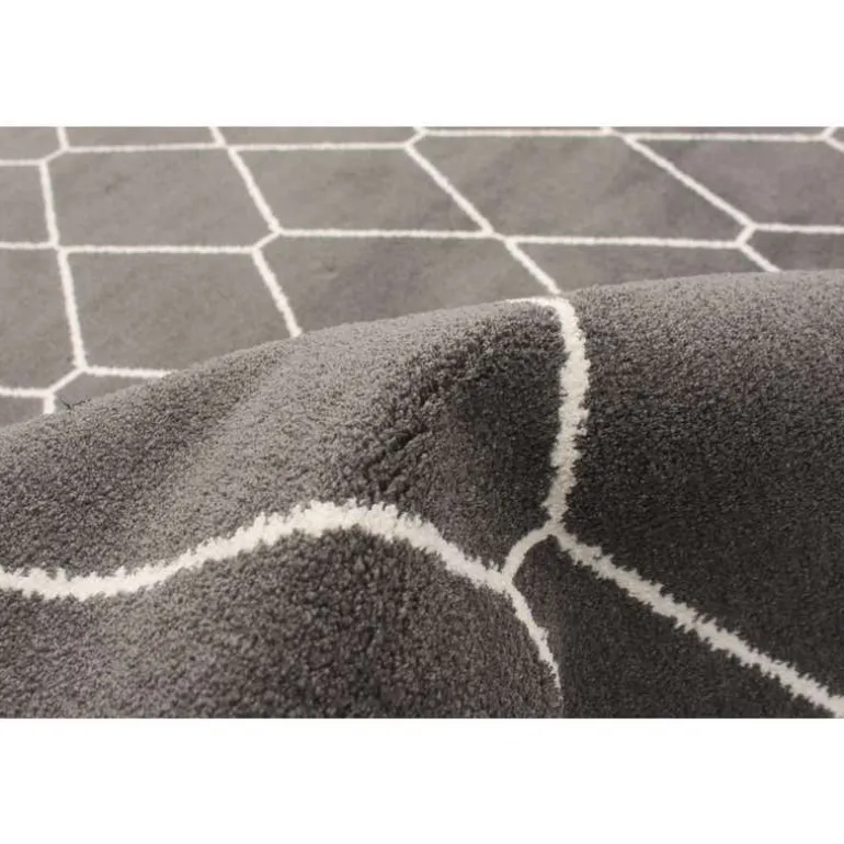 Indoor Rug - 8 x 10