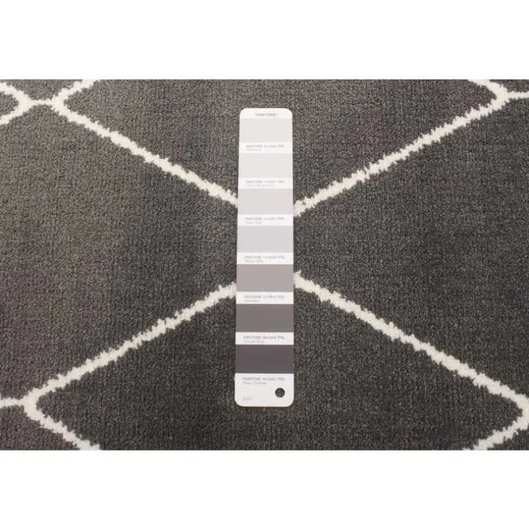 Indoor Rug - 8 x 10