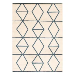 Indoor Rug - 8 x 10