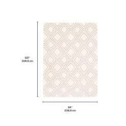 Indoor Rug - 8 x 10