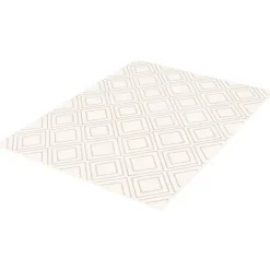 Indoor Rug - 8 x 10
