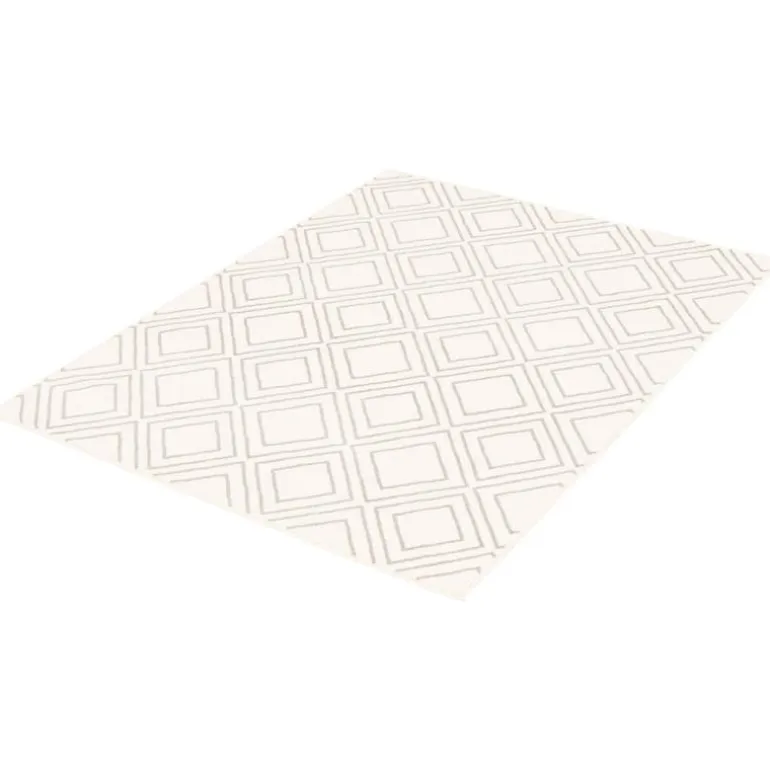 Indoor Rug - 8 x 10