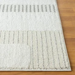 Indoor Rug - 5 x 8