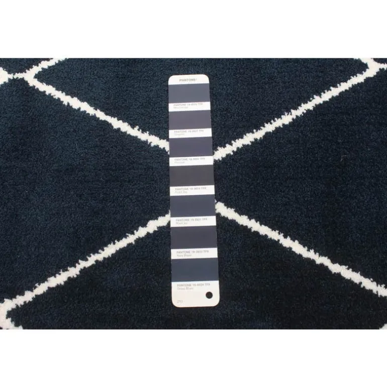 Indoor Rug - 8 x 10