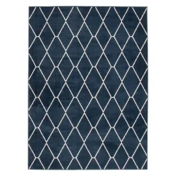 Indoor Rug - 8 x 10