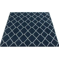 Indoor Rug - 8 x 10